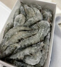 百年漁港白蝦大蝦 無(wú)冰凈重 2kg 白對蝦  加大號白蝦4斤 80-100只 曬單實(shí)拍圖