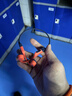 韶音（SHOKZ）【游泳耳機】OpenSwim Pro骨傳導耳機藍牙運動(dòng)帶內存 開(kāi)放式運動(dòng)無(wú)線(xiàn)游泳跑步騎行不入耳S710 珊瑚海 曬單實(shí)拍圖