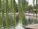 lena玉米夾蓬松夾板 玉米須夾板 高顱頂夾板 迷你便攜墊發(fā)根蓬松夾男士負(fù)離子便攜出游玉米夾禮物L(fēng)N-W3 曬單實拍圖