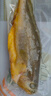 1號會(huì )員店寧德三去黃花魚(yú) 凈重2斤/4條  大黃魚(yú) 深海魚(yú) 冷凍海鮮水產(chǎn) 生鮮 曬單實(shí)拍圖
