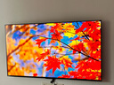 創(chuàng)維電視65A5F藝術(shù)款 65英寸Mini LED448分區(qū)啞光屏顯無縫貼墻壁畫電視機(jī)65吋以舊換新家電國家補(bǔ)貼20% 65英寸 無縫貼墻藝術(shù)款 贈(zèng)原廠超薄掛架 曬單實(shí)拍圖