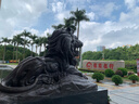 魔術掃把掃地硅膠地刮地板清理掃帚浴室衛(wèi)生間刮水器掃頭發(fā) 【50厘米】普通款80CM桿子 曬單實拍圖