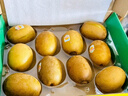 佳沛（zespri）新西蘭  陽(yáng)光金果10粒巨大果單果約144-175g 中秋水果禮盒 獼猴桃 曬單實(shí)拍圖