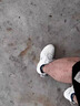 森馬男鞋春秋款透氣網(wǎng)面運動休閑跑步潮牌百搭爆款厚底小白老爹鞋秋季 米色 42 曬單實拍圖