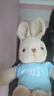 伽百利毛絨玩具可愛(ài)復古兔子玩偶生日禮物送女友送朋友 W3767大格雷斯45cm 曬單實(shí)拍圖
