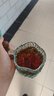 JMEY集覓即熱式養生茶吧機C5臺上飲水機臺式即熱式飲水機家用智能全自動(dòng)桌面飲水機 C5 即熱型 智能桌面養生茶吧機 曬單實(shí)拍圖