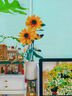 赟婭永生向日葵太陽(yáng)花束拼裝積木節日插花擺件送女朋友生日禮物 浪漫太陽(yáng)花【821顆?！?曬單實(shí)拍圖