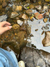 卡駱馳（crocs）經(jīng)典云朵Clog女沙灘洞洞鞋涼拖鞋206750 206750-2Y2  37  曬單實(shí)拍圖