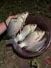 GW新品龍雲PLUS臺釣竿手桿28調龍云碳素超輕超硬輕量大綜合釣魚(yú)竿 7.2m 龍雲PLUS 曬單實(shí)拍圖