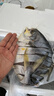 廣東湛江淡曬特大金鯧魚(yú)干5條裝 真空包裝干貨食材海產(chǎn)禮盒 5條（每條500-550克）共約2500g 曬單實(shí)拍圖
