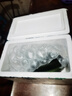 山東一口脆即食迷你水果黃瓜  京東快遞包郵 帶箱2斤 曬單實(shí)拍圖