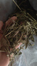 比克熊 苜蓿草1kg兔糧兔子草料烘干紫花幼兔牧草豚鼠磨牙飼料糧草毛重 曬單實(shí)拍圖