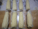 京鮮生東北白糯玉米330g*8根 甜黏玉米低脂早餐代餐粗糧真空裝 源頭直發(fā) 曬單實(shí)拍圖