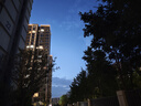 UR2025夏季新款男裝時(shí)尚商務(wù)通勤松緊腰抽繩蘿卜褲UMM650020 正黑 32 曬單實(shí)拍圖