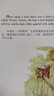 【用過(guò)的書(shū) 少量筆跡】 小松鼠蒂米-彼得兔經(jīng)典故事集-III (英)波特　著(zhù),劉曉媛,劉懿　譯 中國 曬單實(shí)拍圖