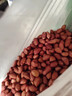 紅皮花生米仁生的新鮮紅衣2025新貨生的新貨新鮮紅衣小粒熟批發(fā)價(jià) (生)【1罐】紅皮花生米(500·g) 曬單實(shí)拍圖
