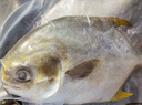 翔泰 海南金鯧魚(yú)凈重900g 2條裝  魚(yú)類(lèi)生鮮 火鍋食材 海鮮水產(chǎn) 中秋 曬單實(shí)拍圖