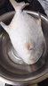 繽鮮 國產(chǎn) 新鮮冷凍金鯧魚(yú)凈重 500-600g/條 3條裝 源頭直發(fā) 曬單實(shí)拍圖
