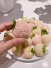 沁煦【順豐包郵】玉雪境莓草莓新鮮0農殘現摘現發(fā)應季水果孕婦水果 500g【2盒】【大果】單果23-30g 曬單實(shí)拍圖