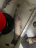 魚(yú)棲林青魚(yú)大師巨物版大物魚(yú)竿無(wú)鉛拖釣百斤釣青魚(yú)龍躉魚(yú)竿手竿旗艦店 6.3m 巨物版【送通判+手把套】 曬單實(shí)拍圖