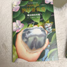 納尼亞傳奇（大衛·威斯納繪制，贈大地圖+英文電子書(shū)，英國原版授權，《魔戒》鄧嘉宛新譯，彭懿導讀）果麥經(jīng)典 課外閱讀 閱讀 課外書(shū) 曬單實(shí)拍圖