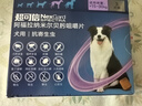 超可信（NexGard SPECTRA）狗狗進(jìn)口驅蟲(chóng)藥大型犬L號體內外同驅去跳蚤蜱蟲(chóng)原研藥6片裝 曬單實(shí)拍圖