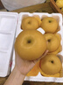 甜萌果蔬山東秋月梨 新鮮水果冰糖梨 送人送禮當季水果年貨送禮盒 5斤精選果裝【單果約200g+】?jì)糁?.5斤 曬單實(shí)拍圖
