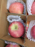 京地達煙臺棲霞紅富士蘋(píng)果凈重4.5斤單果約193g煙臺蘋(píng)果水果源頭直發(fā) 曬單實(shí)拍圖