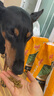 愛(ài)倍品卓犬兒歡成犬狗糧 小型中大型犬通用田園犬金毛泰迪柯基哈士奇 囤貨裝40斤【10kg*2包】 曬單實(shí)拍圖