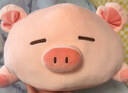 名創(chuàng  )優(yōu)品（MINISO）小豬B-BO彈力超柔趴姿毛絨公仔玩偶抱枕兒童玩具送女友生日禮物女 曬單實(shí)拍圖