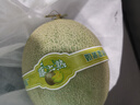 【產(chǎn)地直采】冰淇淋網(wǎng)紋瓜1粒1.25kg 曬單實(shí)拍圖