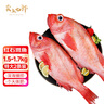 賣(mài)魚(yú)七郎紅石斑魚(yú)凈重3.2斤-3.4斤共2條海捕鮮活冷凍大眼魚(yú)整條富貴魚(yú)魚(yú)類(lèi) 曬單實(shí)拍圖