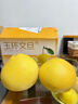 京覓浙江玉環(huán)文旦柚 2粒裝 單果2-2.5斤 生鮮水果文旦柚自營(yíng) 源頭直發(fā) 曬單實(shí)拍圖