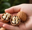 新邊界（new boundaries）薄皮核桃1500g 新疆特產(chǎn)阿克蘇核桃堅果炒貨手剝原味量販 曬單實(shí)拍圖
