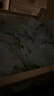 莫爾兔嬰兒被子兒童豆豆被秋冬加厚寶寶豆豆毯幼兒園午睡夾棉被四季通用 綠色查爾莊園【中厚春秋一體款】 120*150cm 7A抑菌防螨可機洗 曬單實(shí)拍圖