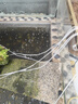 柏卡樂(lè )增氧泵魚(yú)池增氧機海鮮魚(yú)缸氧氣泵大功率養魚(yú)打氧泵電磁式充氧機 40W-6孔 A003型+氣石套餐（45斤魚(yú)用） 曬單實(shí)拍圖