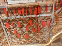 戰舵許愿牌木吊牌吊卡掛樹(shù)祈愿掛件掛牌心愿卡片懸掛木質(zhì)防水祝福木牌 5塊套裝【5.5*10cm厚度2mm】 曬單實(shí)拍圖