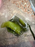 大連 鮮海帶 鹽漬裙帶菜梗  鹽漬海白菜裙帶菜蝦皮湯火鍋食材 鹽漬裙帶菜梗500g 曬單實(shí)拍圖