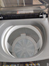 海爾波輪洗衣機全自動(dòng)一級能效直驅變頻雙動(dòng)力大神童超薄除菌除螨10公斤家用洗衣機國家補貼 海爾統帥 【旗艦首選】10公斤除菌螨+1.1洗凈比超凈洗 曬單實(shí)拍圖