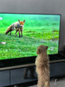 海爾（Haier）55H6升級版55英寸京東自營4K超高清144Hz全面屏4+64GB超薄游戲智能電視55H6B二級能效國家補(bǔ)貼15% 曬單實拍圖