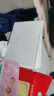 【開學(xué)福利價】活頁本替芯26孔b5橫線活頁紙a5筆記本網(wǎng)格20孔大學(xué)生考研復(fù)習(xí)英語空白得力晨光同款 B5活頁本替芯 橫線-單本裝【60張】 曬單實拍圖
