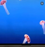 飛利浦（PHILIPS）43英寸全高清智慧屏 臥室小屏 超寬環(huán)繞立體聲 智能液晶平板電視機 43PFF6590/T3 國家補貼15% 曬單實(shí)拍圖