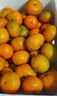 味果生廣西砂糖橘桔子9斤當季新鮮孕婦水果現摘金秋沙糖桔蜜桔柑橘整箱 5斤精選裝凈重4.5斤 曬單實(shí)拍圖