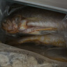 1號會(huì )員店【山姆同廠(chǎng)】冷凍寧德三去大黃魚(yú) 黃花魚(yú) 凈重700g/2條裝 水產(chǎn)魚(yú) 曬單實(shí)拍圖