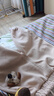 歡喜小熊嬰兒保暖內(nèi)衣春季套裝女寶寶衣服男童春秋季三保暖分體套裝 曬單實拍圖