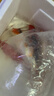 錦鯉活魚(yú)觀(guān)賞魚(yú)活體淡水冷水魚(yú)純種黃金紅白三色錦鯉魚(yú)金魚(yú)招財魚(yú) 20-25cm 四季平安(紅白2+三色2) 曬單實(shí)拍圖