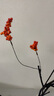 掬涵仿真藤蔓仿真花擺設中式插花客廳裝飾楓葉玄關(guān)干花花藝禪意擺件 紅色秋楓葉中號1支+橙色1支 易塑型 曬單實(shí)拍圖