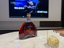 RCR進(jìn)口水晶玻璃杯洋酒杯烈酒威士忌杯啤酒杯雞尾酒杯水杯300ml*2 曬單實拍圖