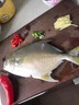 【JD&順豐】鯧魚(yú) 金鯧魚(yú) 新特大號金鯧魚(yú)新鮮海捕平魚(yú)金昌魚(yú) 凈重無(wú)冰 10條【送禮】 800-900g/條 家庭裝 曬單實(shí)拍圖