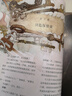 哈利波特全彩繪本5冊(cè) 哈利波特與魔法石,哈利波特與密室,哈利波特與阿茲卡班囚徒,哈利波特與火焰杯,哈利波特與鳳凰社 曬單實(shí)拍圖